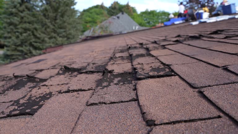 Professional Roof Repair & Installaion in Beaver Dam, WI